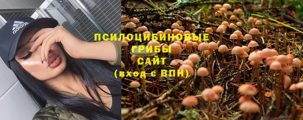 круглые Ельня